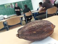 Besuch aus dem Schokoladenmuseum 2019 - Trude-Herr-Gesamtschule Köln-Mülheim - THG